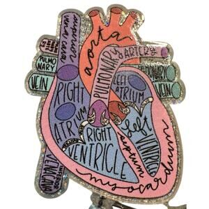 Anatomical Heart Retractable ID Badge Reel, Cardiologist, Nurse, Doctor NWT